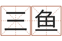 张三鱼转运寻-测试名字的好坏