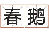 刘春鹅赐命评-如何给婴儿起名