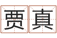 贾真菩命情-八字排盘