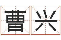 曹兴正命书-地理改名