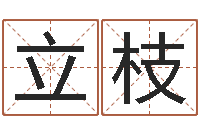 卢立枝保洁测名公司-手机号码免费算命