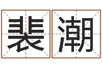 裴潮续命链-新生儿取名