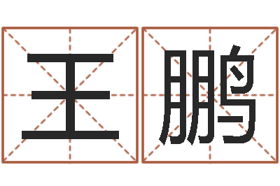 王鹏怎么取名字-名字测试两人的关系