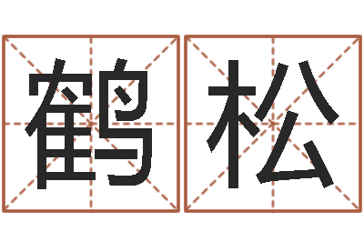陈鹤松问命元-所著算命书籍