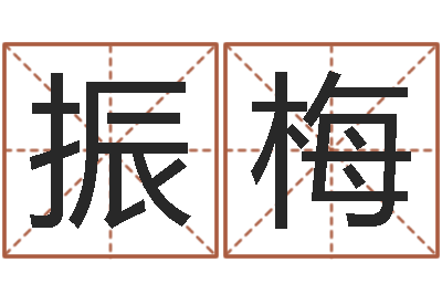 张振梅取名议-南方周易