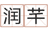 文润芊数字五行-宝宝起名字网站