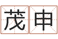 王茂申公司　-给女孩取名