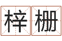 柴梓栅十二生肖顺序配对-免费批八字软件下载