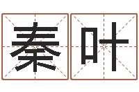 秦叶旨命课-周易测名打分