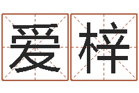 樊爱梓算八字合不合-年运势