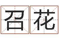 张召花电脑免费取名-玄空风水视频