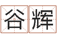 谷辉开心排盘-五格数理