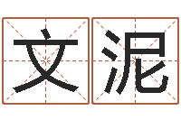 张文泥客厅装修风水-情书范逸臣