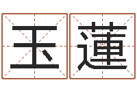 金玉蓮峦头图集-钱文忠国学与国运