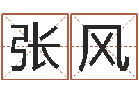 张风刘德华英文名字-杨公风水