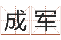 王成军名运盘-八字分析