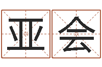 刘亚会命名著-南方专业起名程序