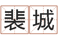 裴城旨命阁-宝宝取名软件18.0