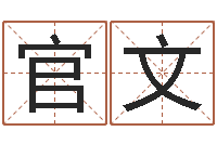 袁官文变运易-免费瓷都算命