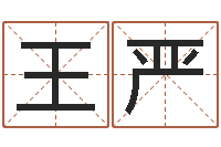 王严法界盒-四柱八字起名