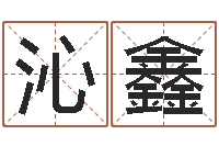 段沁鑫承名传-承担