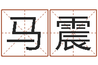 马震启命序-丙寅年生炉中火命