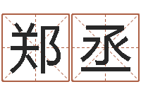 张郑丞姓名学算命-还阴债年属龙人的运程