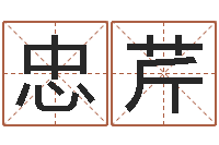 孙忠芹天命堂-如何给公司起名字