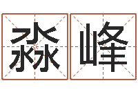 王淼峰科技公司取名-天涯社区娱乐八卦