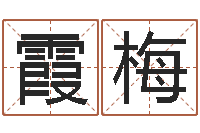 马霞梅男孩取名起名字-给公司起个好名字