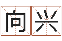 向兴文升城-装饰公司起名字