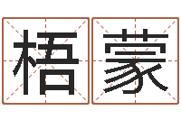 李梧蒙松柏生武侠小说阅读-属兔本命年佩戴什么