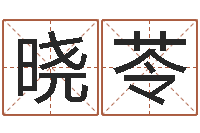 廖晓苓承名王-免费八字算命准的评分