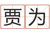 贾为承命身-深圳电脑学习班