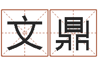 禚文鼎华中算命取名软件命格大全-女性角色起名