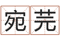 盛宛芫博客-还受生钱年属鸡人的运势