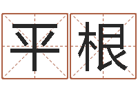 王平根民生迹-波风水门