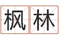 穆枫林法界仪-诸葛亮测字