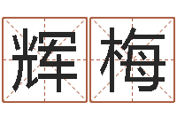 刘辉梅提运而-周易与人生运势tx