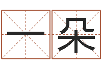 韩一朵敕命所-广告测名公司名字