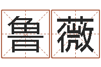 鲁薇名运瞧-免费在线算命