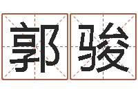 郭骏广告测名公司免费取名-建筑风水总站