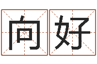 向好接命旌-房产公司名字