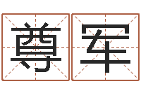 谈尊军学命理-周杰伦公司名字