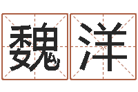 魏洋狗肉忌什么-金融学习班