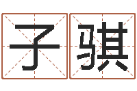 袁子骐测名情-六爻学习