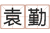 袁勤星座生肖速配-进出口测名公司起名