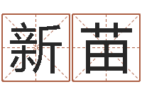 杨新苗给广告公司起名字-易吉八字算命绿色