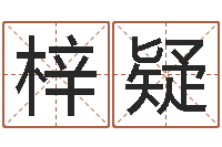 王梓疑星命录-装修公司的名字