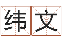 袁纬文承运志-免费电子书